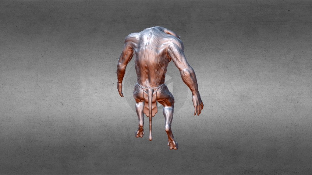 Minotauro D