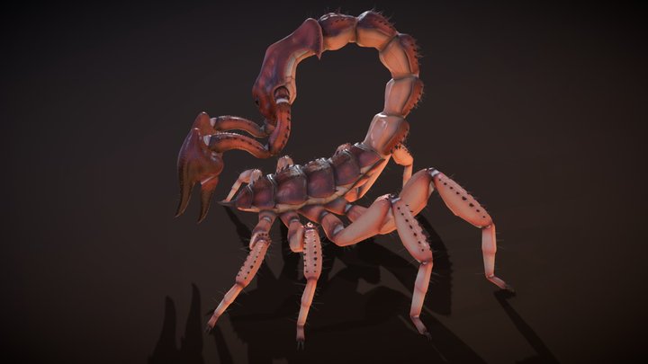 Scorpion creature 3D Model