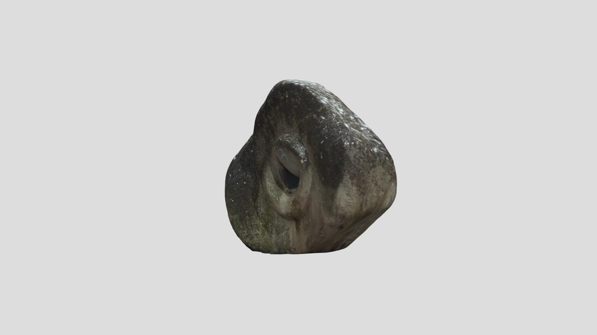 Stone sculpture. Gastropod shell. Ilawa. Poland.