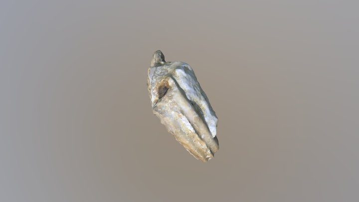 Amenite Model 3D Model