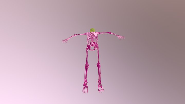 Ejercicio N4 3D Model