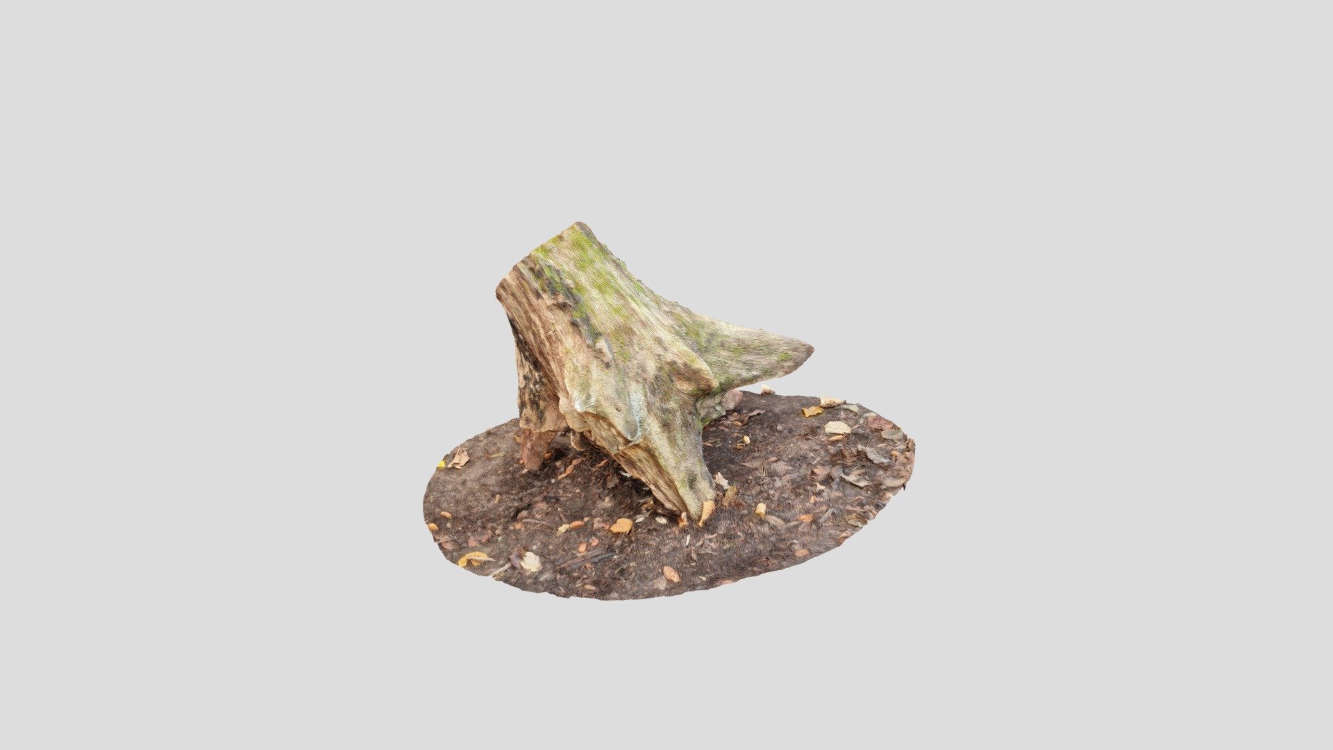 07 Old stump roots - Download Free 3D model by rallyguru3d [83623c3 ...