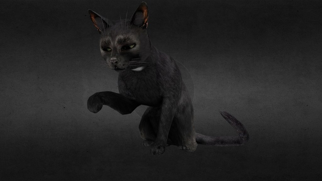 Cat [Murdered: Soul Suspect]