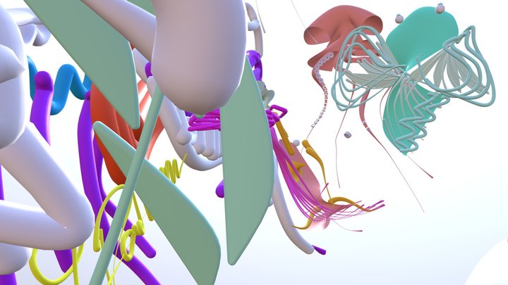Jenspoelvr 3D Model