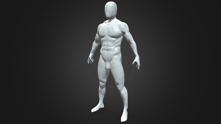 Male body anatomy 3D Model