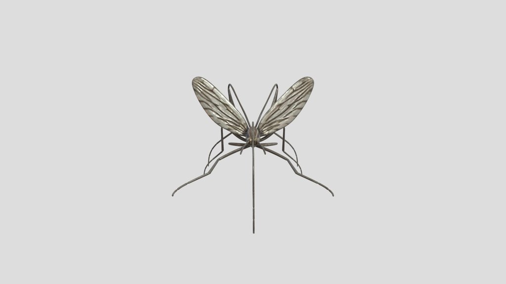 Culiseta longiareolata