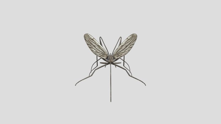 Culiseta longiareolata 3D Model