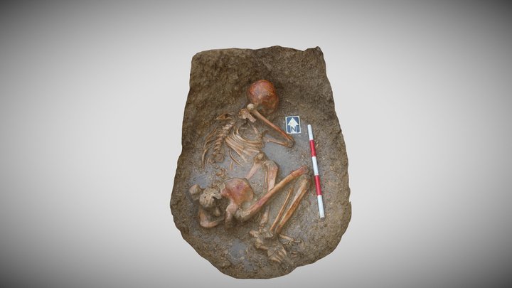 Crouched Burial Simplified 3d Mesh 3D Model