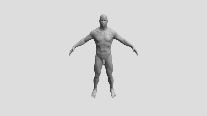 Male Anatomy Figure 3D Model