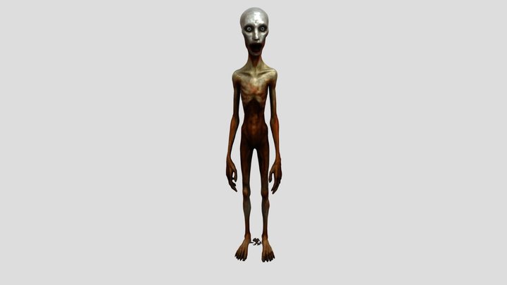 The Fog Is Coming 3D Model