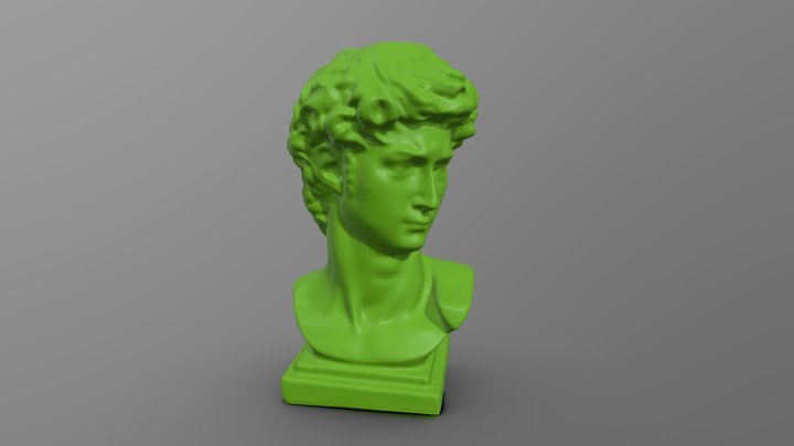 Revopoint Sample Head 3D Model