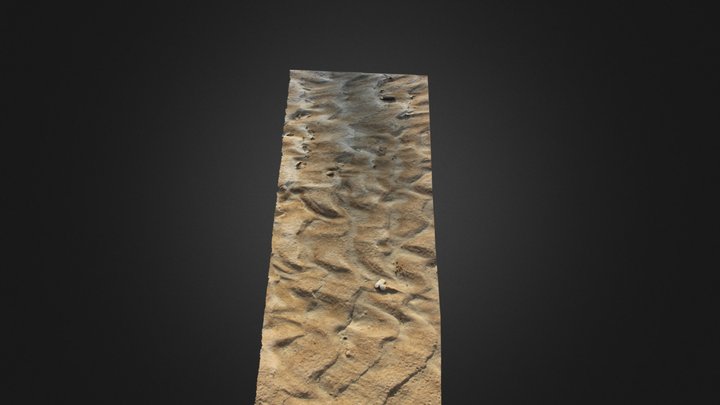 Ripples 3D Model