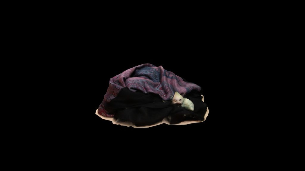RO 007: Scarf/Caterpillar