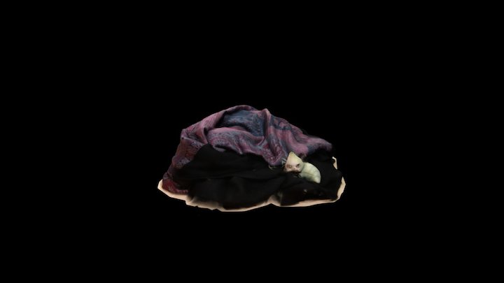RO 007: Scarf/Caterpillar 3D Model