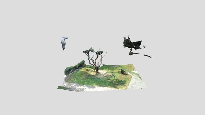 tree 3D Model