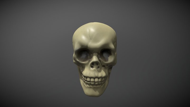 Halloween Skull Prop 3D Model