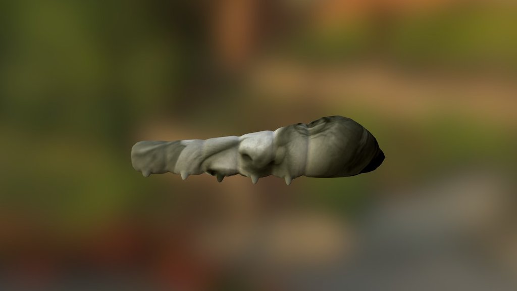 bug