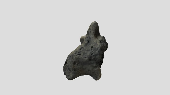 vertebra 3D Model