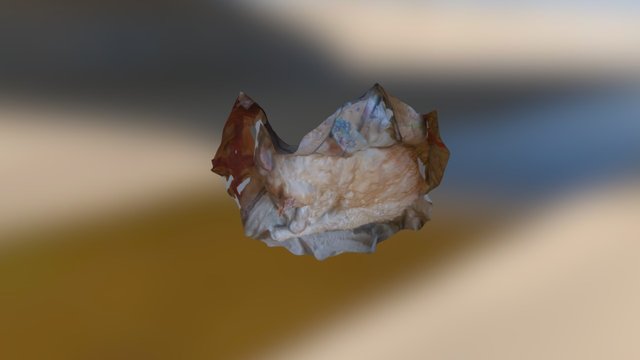 Rufus Autodesk Recap 3D Model