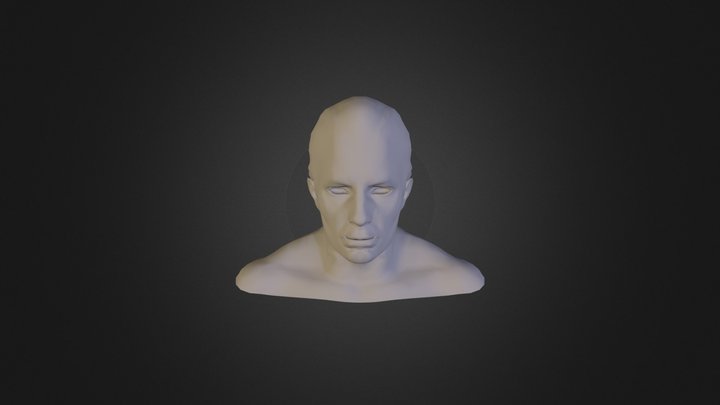 Demo Head 2 3D Model