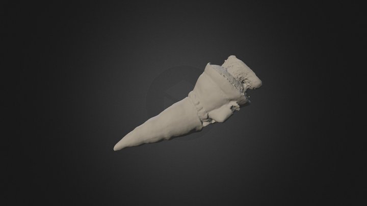 Test Gnome 3D Model