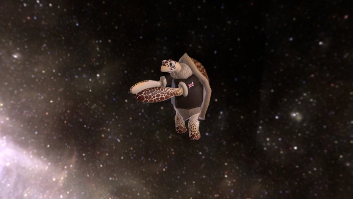 Tortimer Shellwin 3D Model