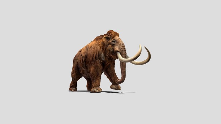 Mehmood Woolly Giant Elephant – Kostenloses 3D-Modell STL