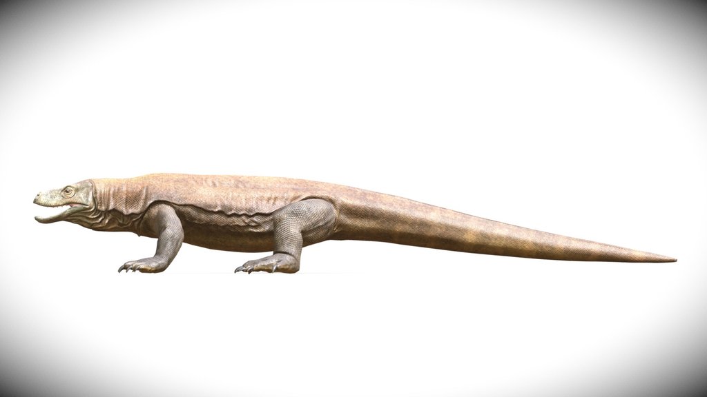 Megalania prisca