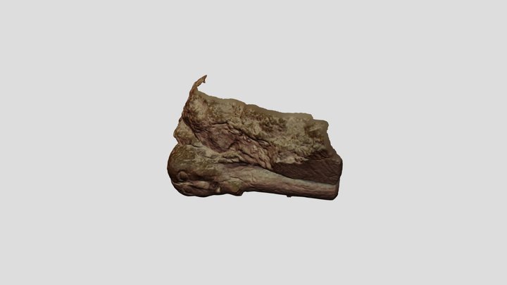 Stenhuvud / Stone head 3D Model
