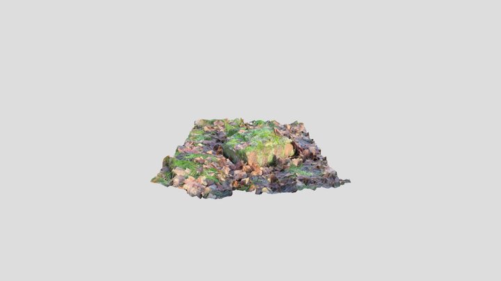Stone – Free 3D Model STL