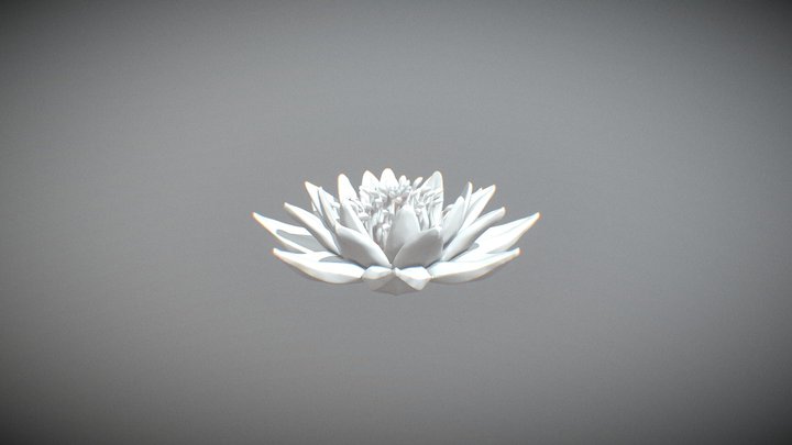 fLOR PRIMITIVA 3D Model