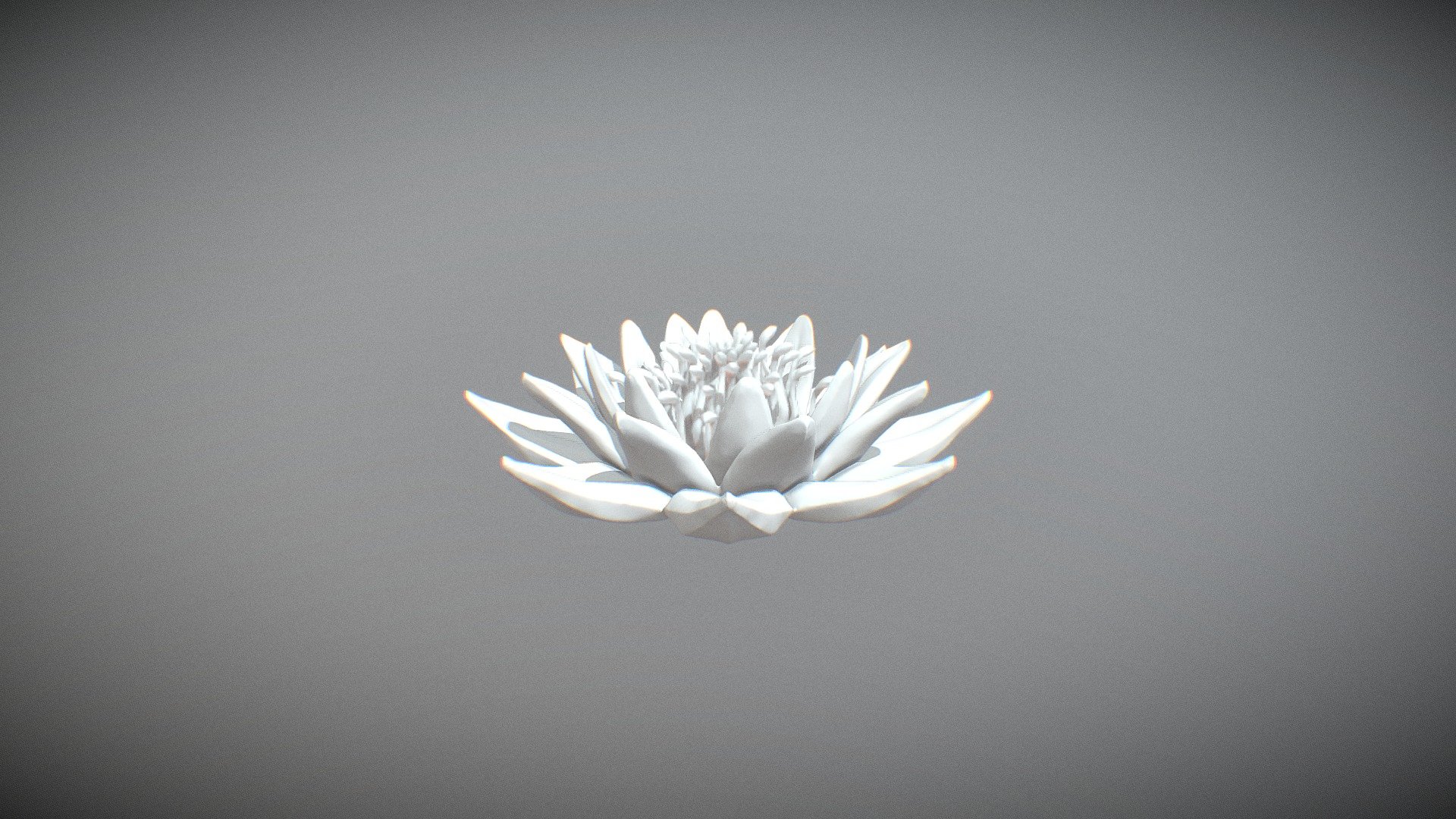 fLOR PRIMITIVA