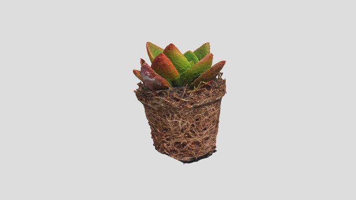Video to frames test 3D Model