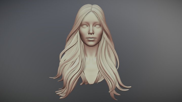 Hair 14 3D Model