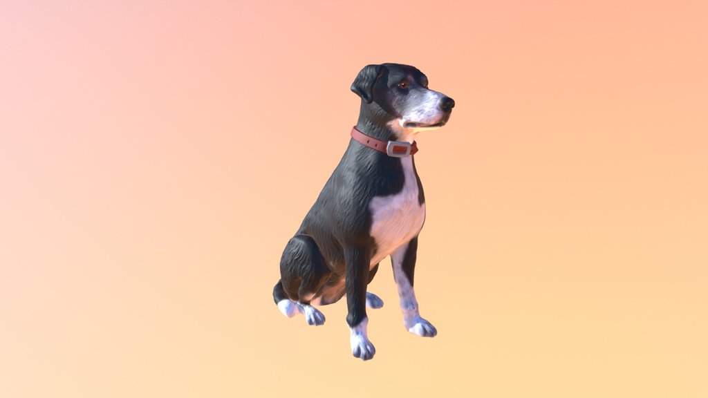 Dogs - A 3D model collection by FarmerJoeMama - Sketchfab