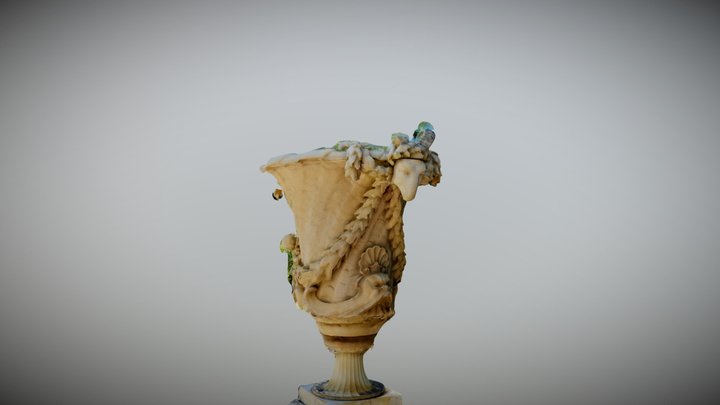Partial Scan 3D Model