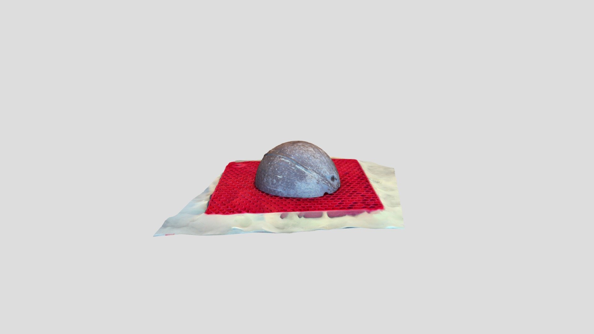 Coconut