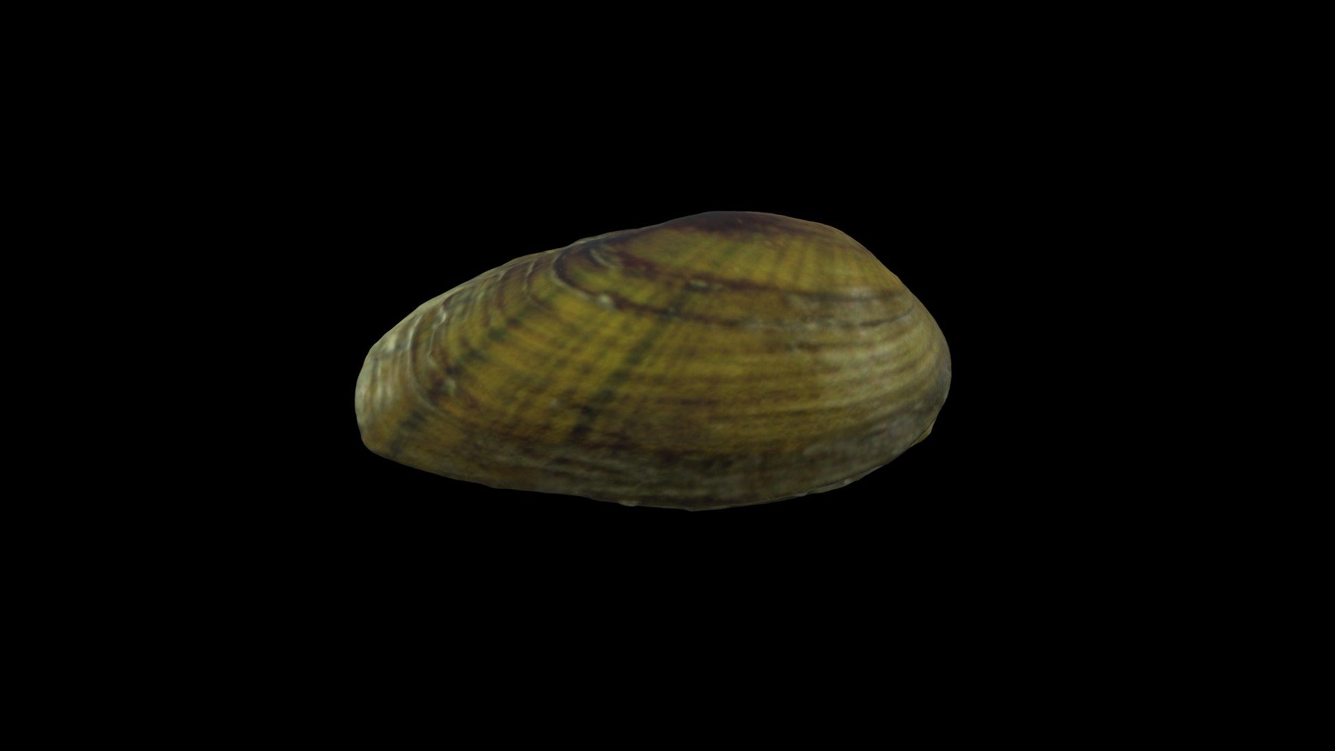 Rainbow - 3D model by atolin [8392b6e] - Sketchfab