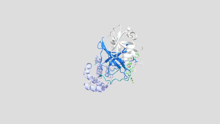 SARS-CoV-2 main protease in complex with N3 3D Model