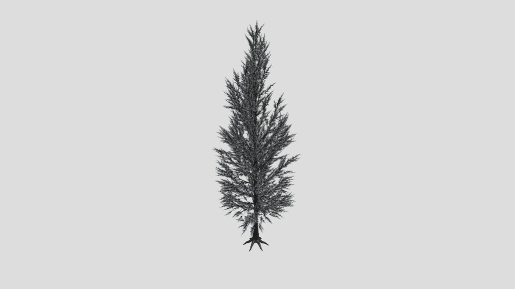 Pine Tree Variation
