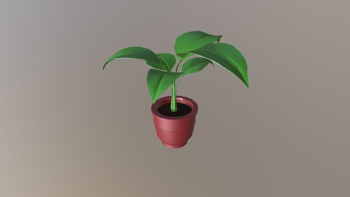 Potted Plant 3D Model