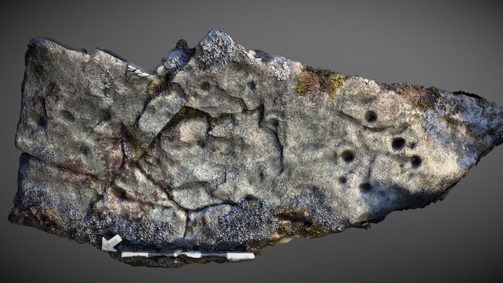 Lost Stones of Strathtay - Craig Hill 42 (1) – Free 3D Model STL