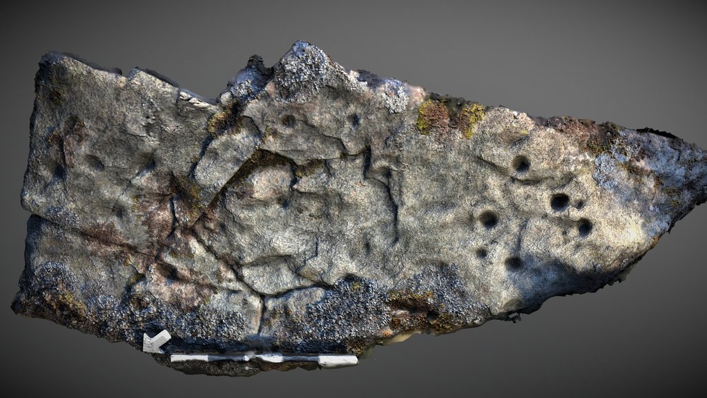 Lost Stones of Strathtay - Craig Hill 42 (1)