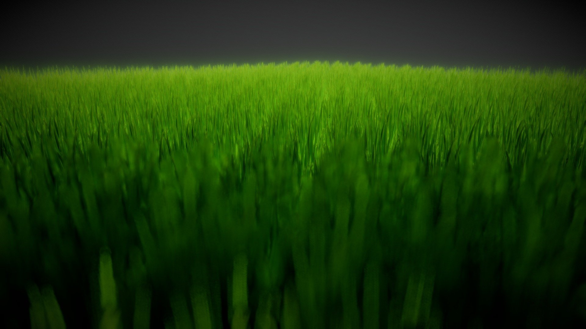 Green Field (Greener)