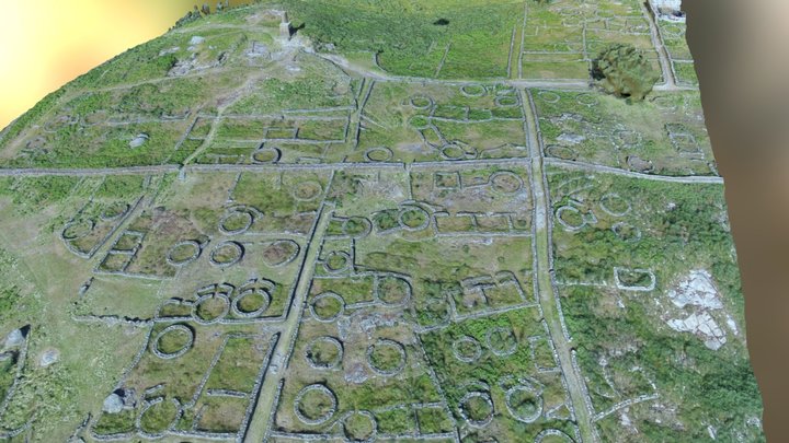 Citânia de Sanfins, Paços de Ferreira, Portugal 3D Model