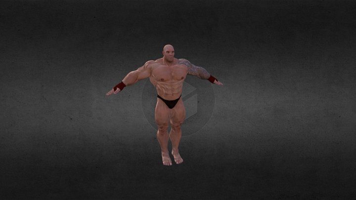 The Fighter 3D Model