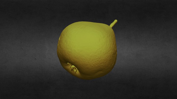 3D Pear 3D Model