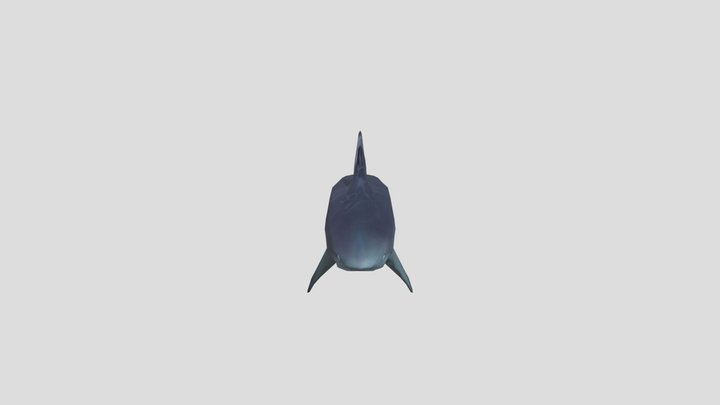 Graceful Shark 3D Model