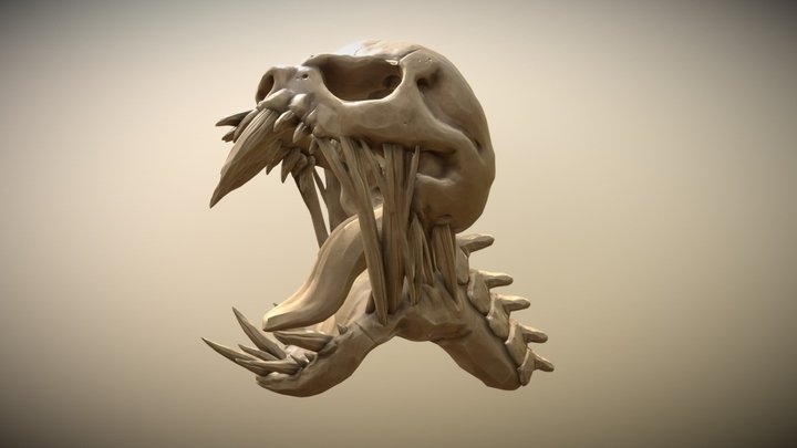 Stylized Skull Head 3D Model