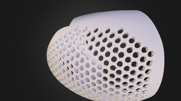 ASM2 Face Shell 3D Model